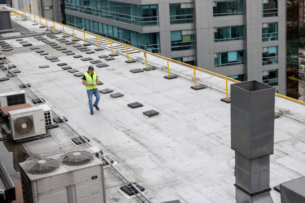 Best Cold Roofs  in St Paul Park, MN